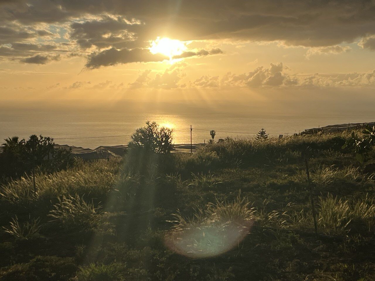 Abendsonne über dem grasbewachsenen Gelände mit Meerblick